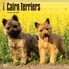 2018 Cairn Terriers Wall Calendar 20 p. 17