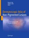 Dermatoscopic Atlas of Non-Pigmented Lesions 1st ed. 2023 H VIII, 256 p. 23