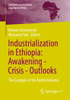 Industrialization in Ethiopia: Awakening - Crisis - Outlooks (Sozialwissenschaftliche Zugänge zu Afrika)