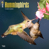 2018 Hummingbirds Wall Calendar 20 p. 17