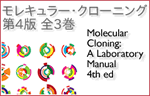 生物学実験マニュアルのスタンダードMolecular Cloning 4th edition