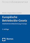 Europaische Betriebsrate-Gesetz: Arbeitnehmermitbestimmung in Europa