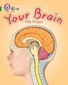 Your Brain. by Sally Morgan