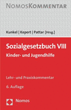 Sozialgesetzbuch VIII: Kinder- Und Jugendhilfe