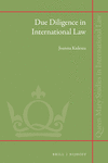 Due Diligence in International Law