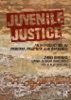 Juvenile Justice:An Introduction to Process, Practice, and Research