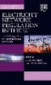 Electricity Network Regulation in the EU:The Challenges Ahead? for Transmission and Distribution