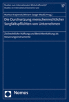 Die Durchsetzung menschenrechtlicher Sorgfaltspflichten von Unternehmen:Zivilrechtliche Haftung und Berichterstattung als Steuerungsinstrumente