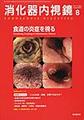 消化器内視鏡<Vol.31No.8>　食道の炎症を視る