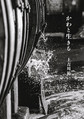 かわと生きる
