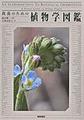 教養のための植物学図鑑