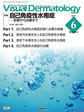 Visual Dermatology<Vol.24No.6>　自己免疫性水疱症