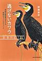 逃げないカワウ: 中国の鵜飼漁をめぐる謎解きフィールドワーク