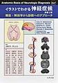 イラストでわかる神経症候～機能・解剖学から診断へのアプローチ～ 原書2版